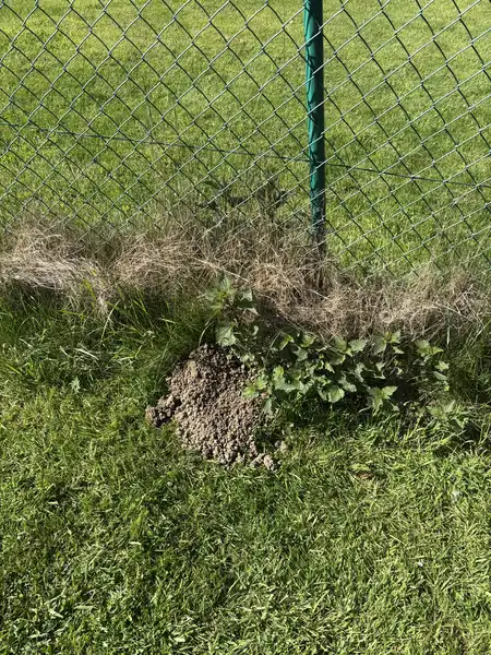 Photo terrain